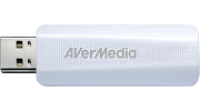 AVerMedia TD310